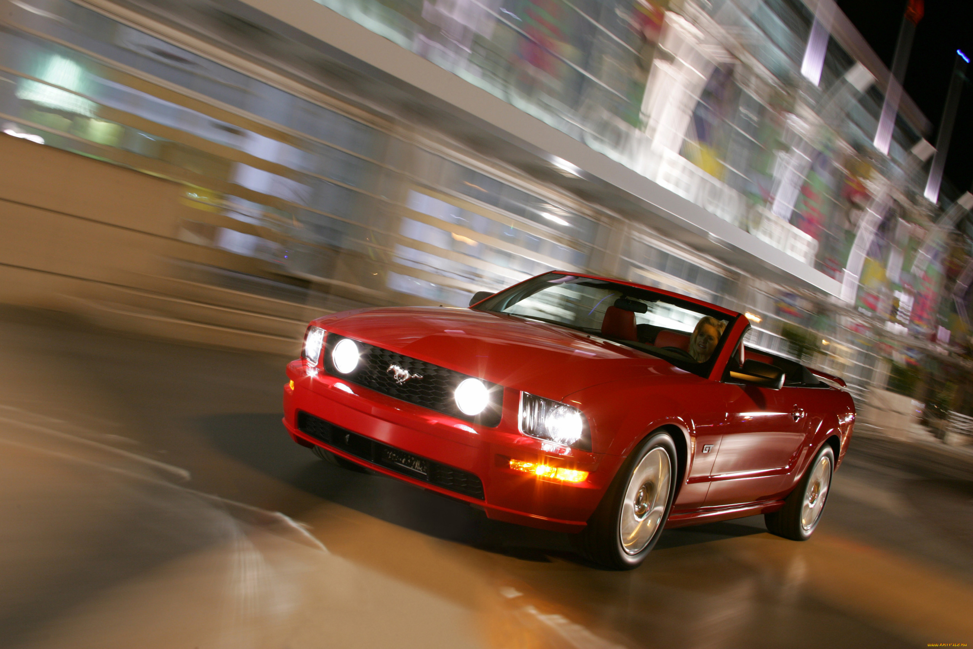 , mustang